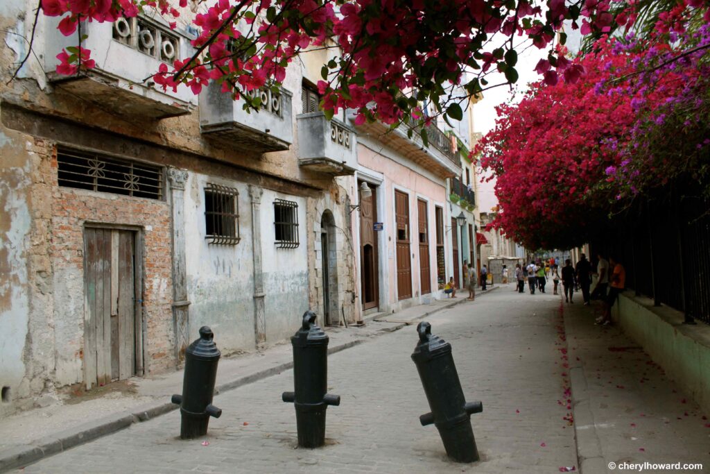 Old Havana Cuba - Pink Flowers