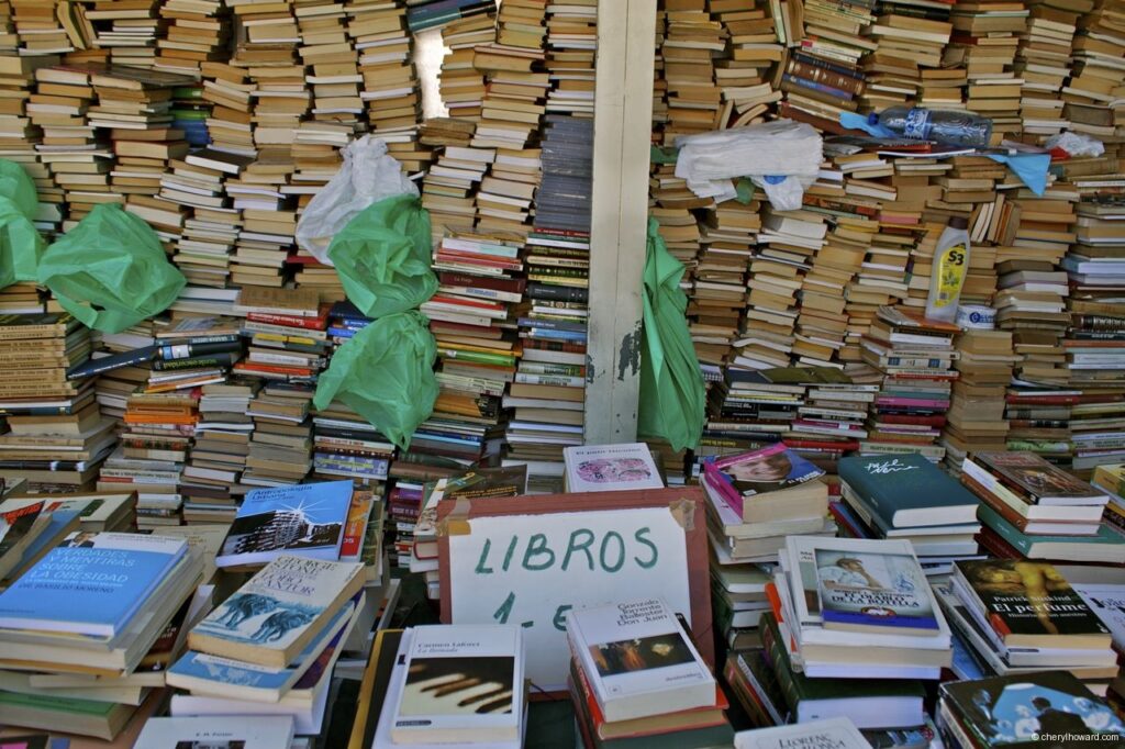 Flea Market Barcelona Books