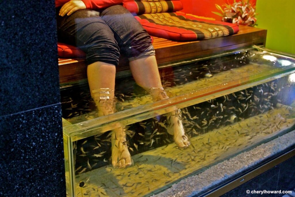 Prague Fish Pedicure