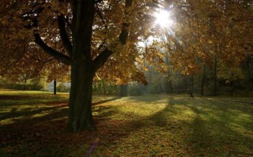 Volkspark Friedrichshain: Photos Of Autumn In Berlin
