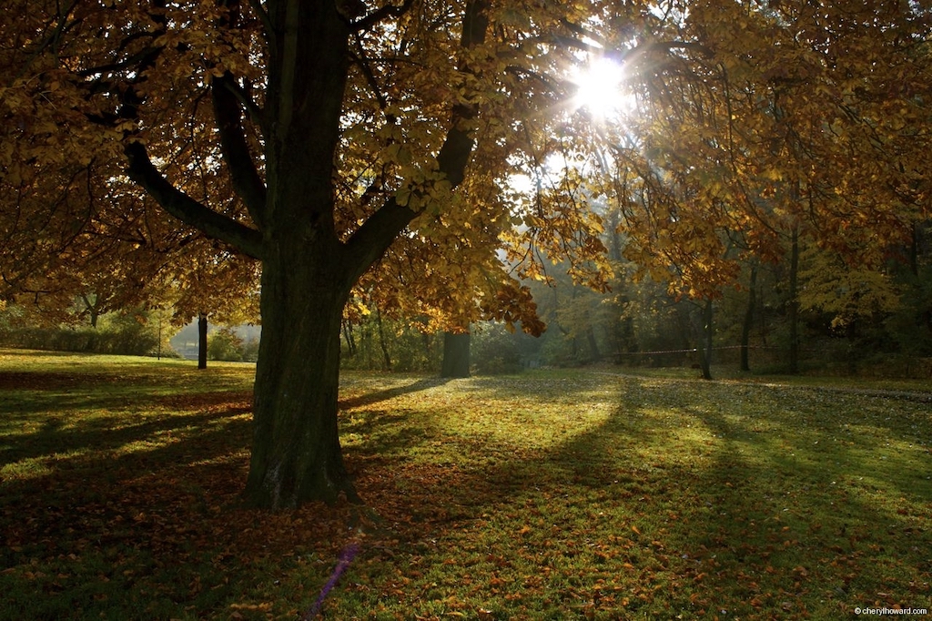 Volkspark Friedrichshain: Photos Of Autumn In Berlin