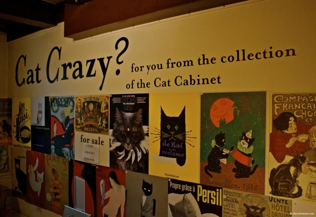 Katten Kabinet Art Museum Cat Crazy