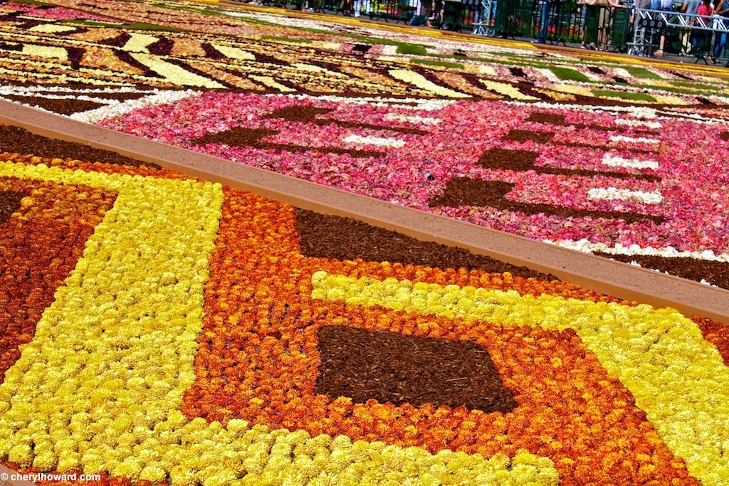 Flower Carpet in Brussels' Grand Palace