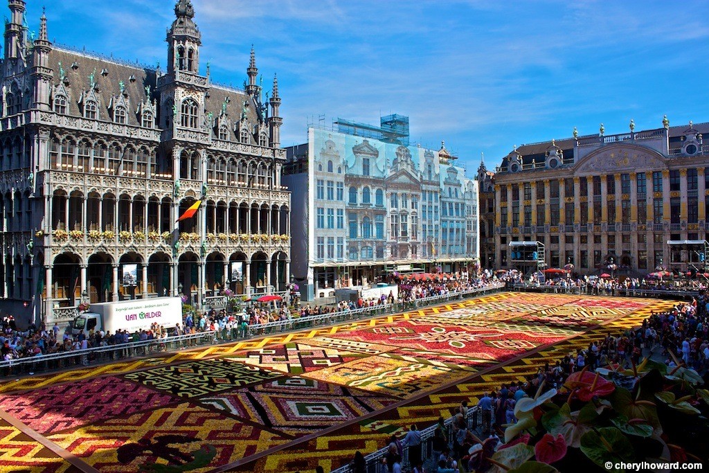 The Making Of The Floral Carpet In Brussels Belgium