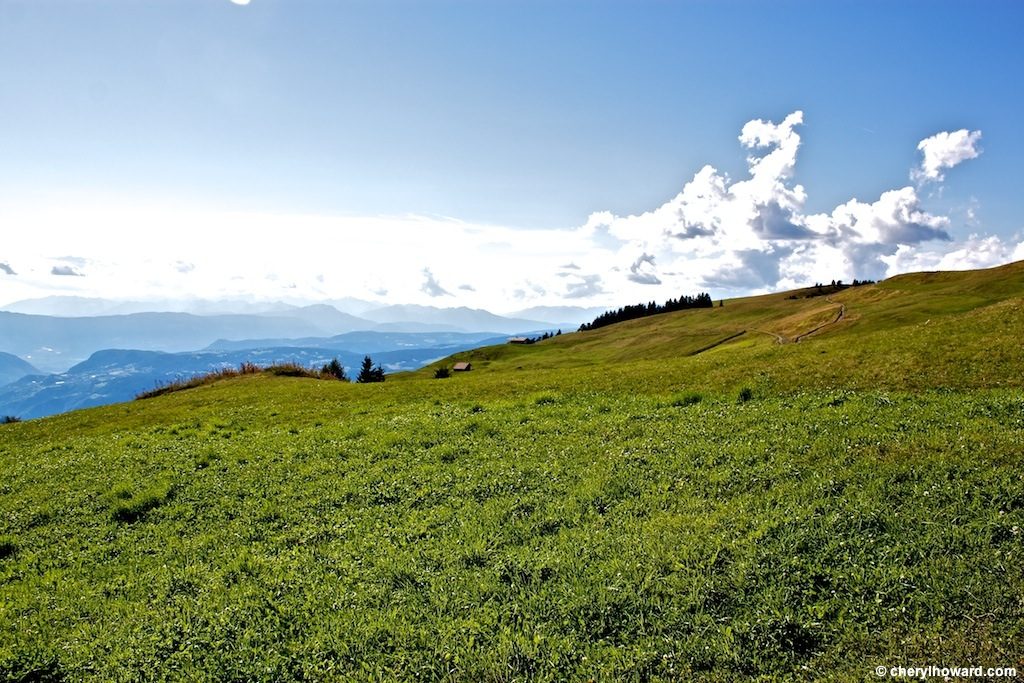 Visit Alpe Di Siusi Italy Field