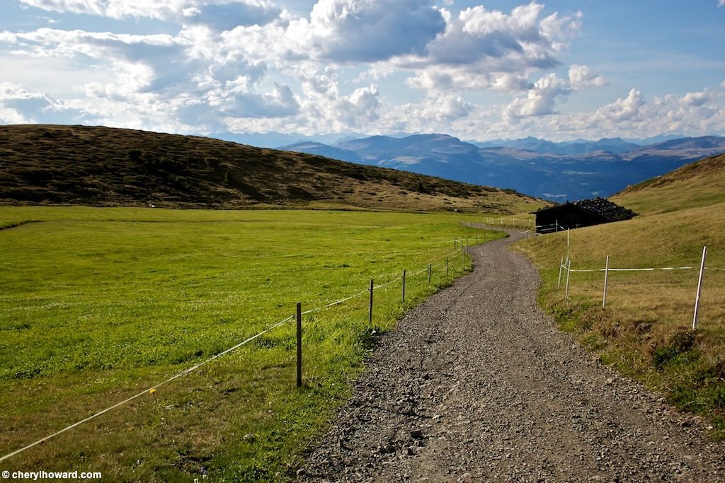 Visit Alpe Di Siusi Italy Road