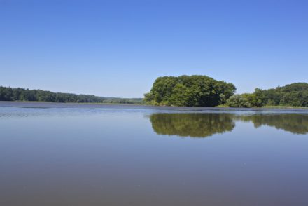 Canoeing in Cootes Paradise
