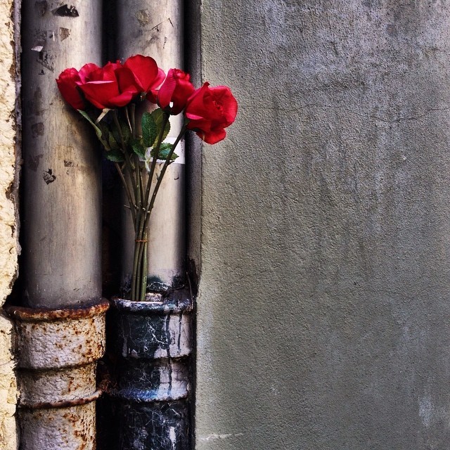 Flowers in Prenzlauerberg