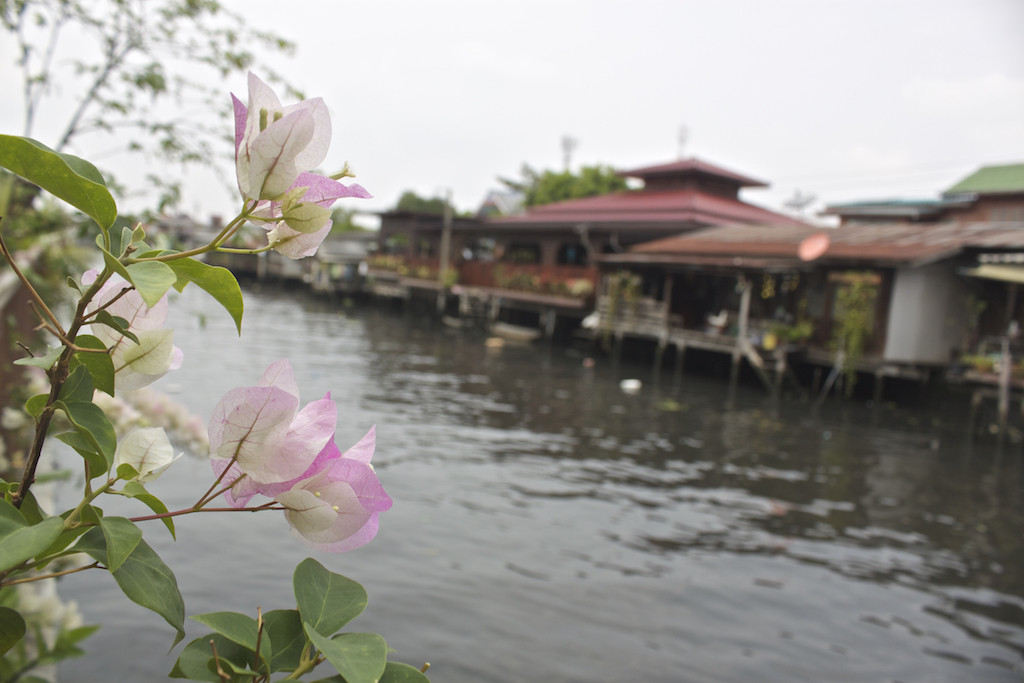 Canals at Klong Bang Luang Artist House Bangkok