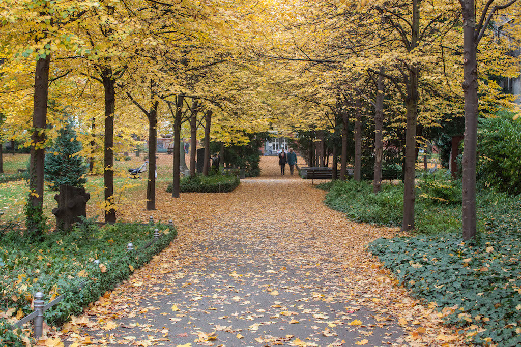 Berlin Sunday Fall Walks on Pappelalle