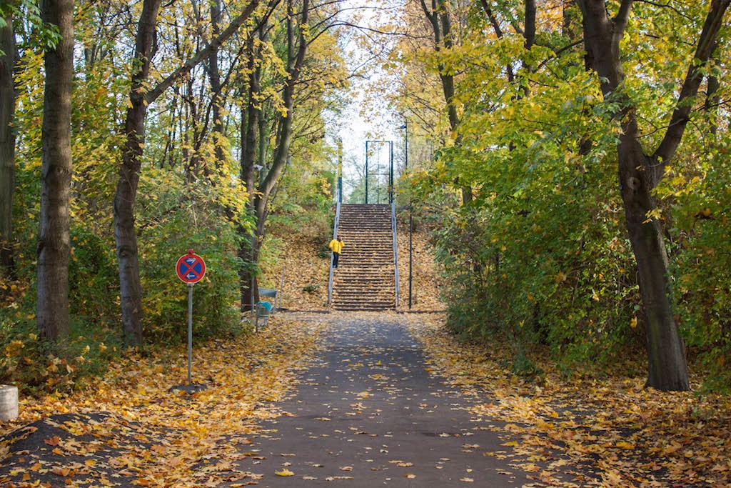 Photos From An Autumnal Sunday In Berlin