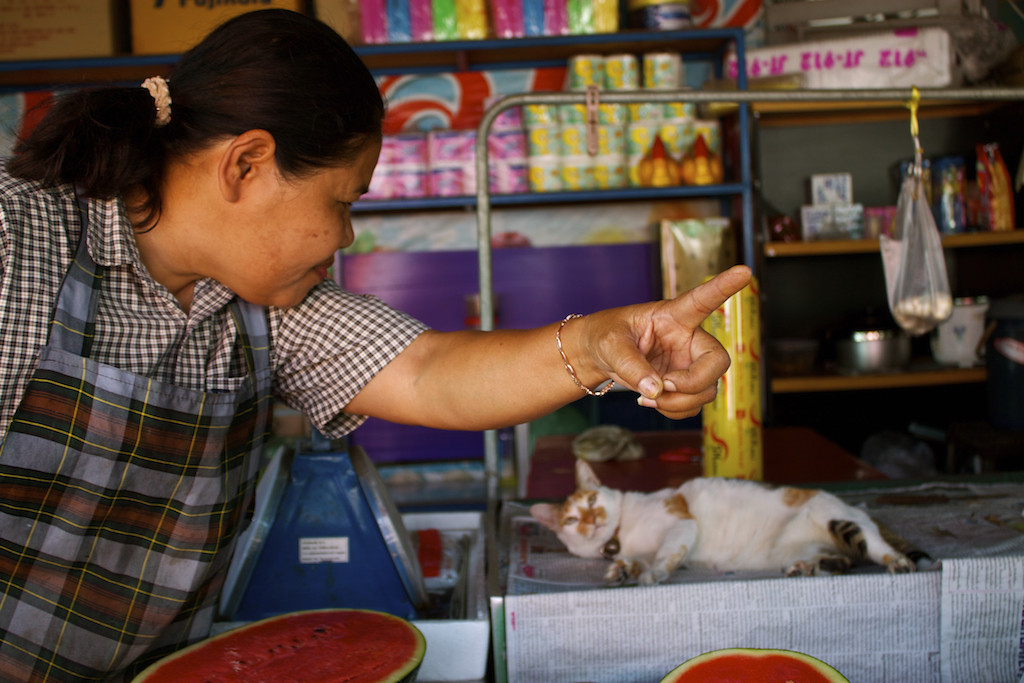Markets in Trang Lady Pointing with Cat