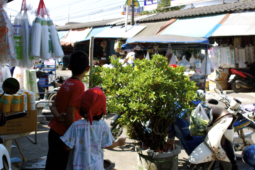 Markets in Trang Little Kids