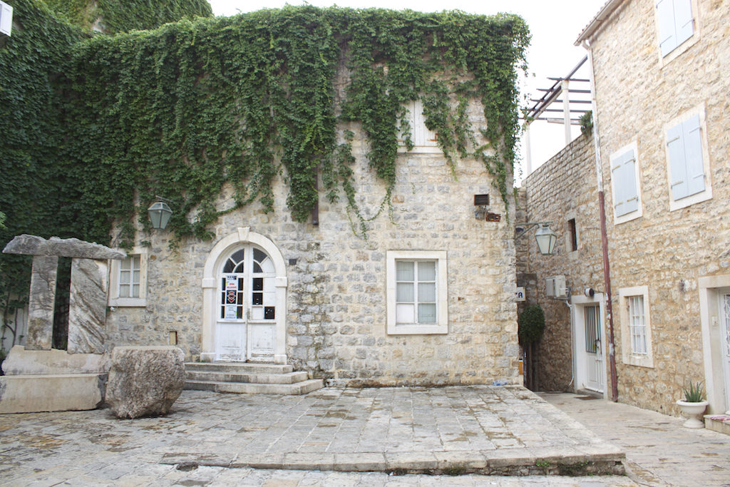 Budva Old Town - Leaf Covered Wall