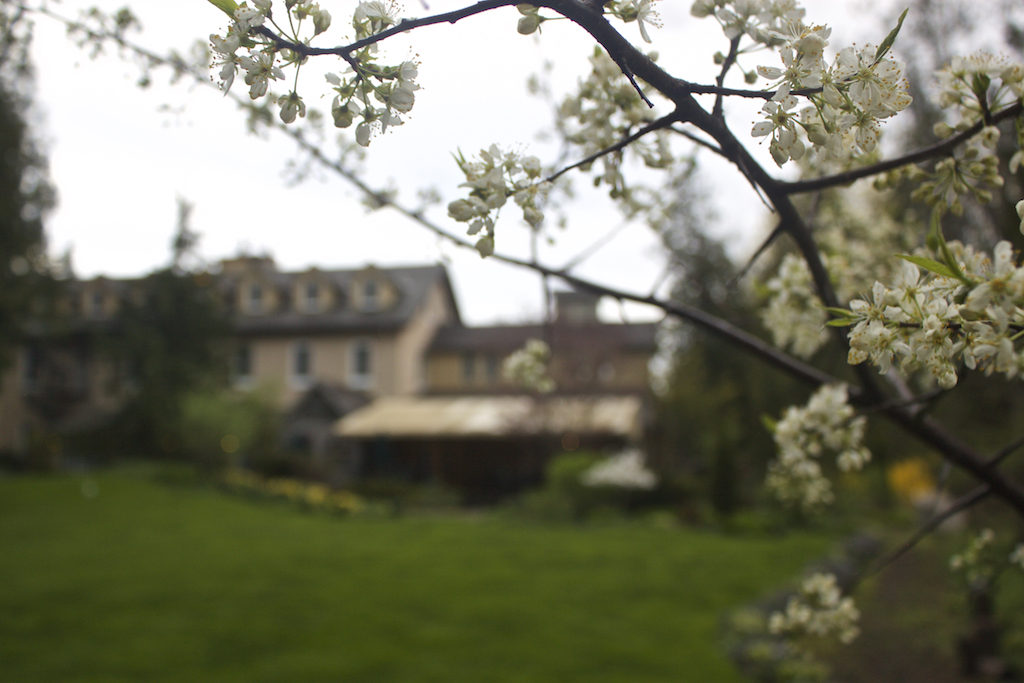 Benmiller Inn and Spa - Blossoms