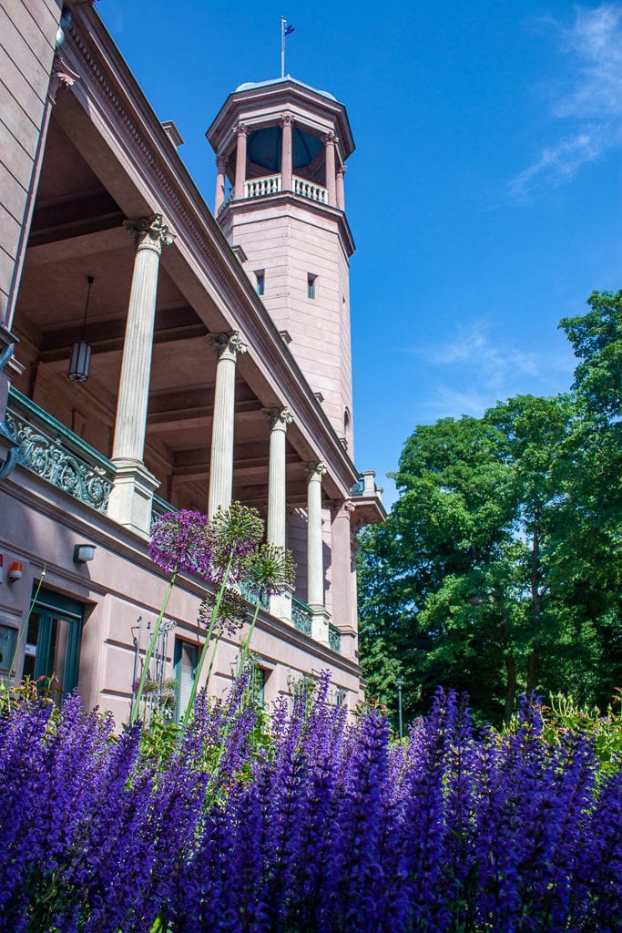 Schlosspark Biesdorf Berlin - Flowers