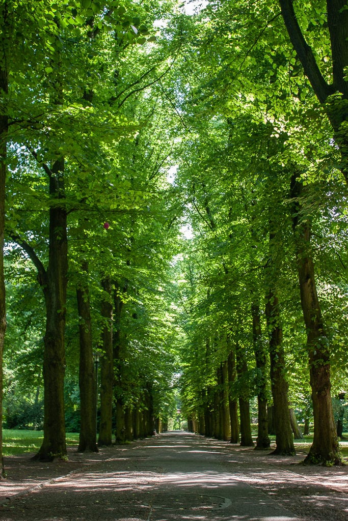 Schlosspark Biesdorf Berlin - Trees