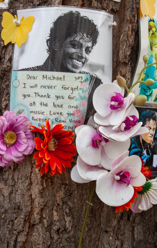 Michael Jackson Memorial Tree Budapest - Letters