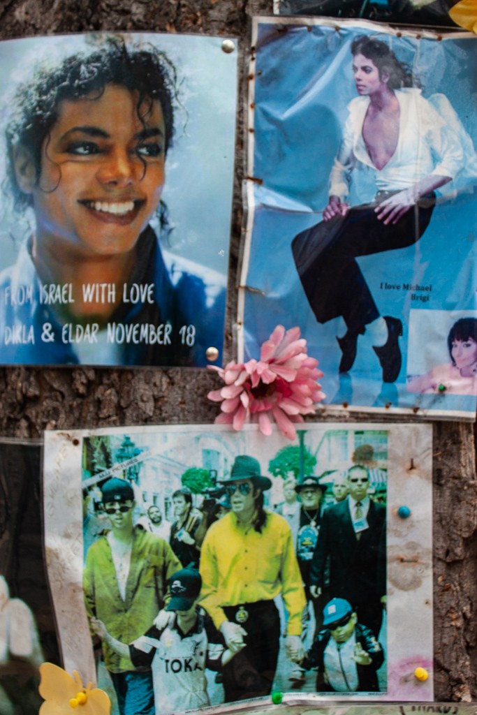 Michael Jackson Memorial Tree Budapest - Photos & Posters