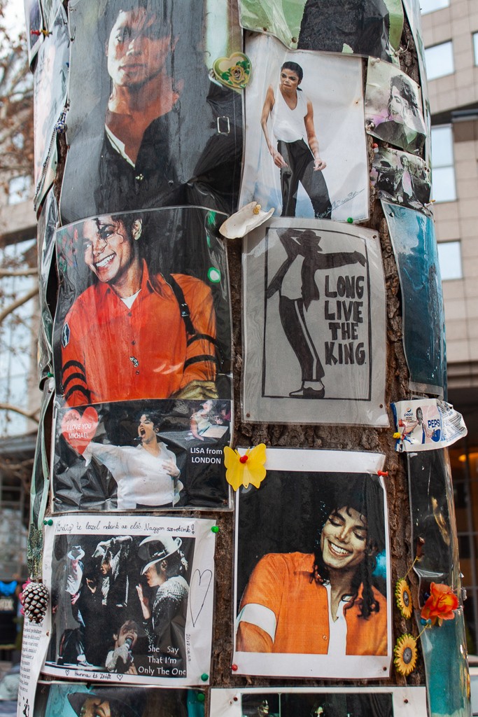 Michael Jackson Memorial Tree Budapest - Photos