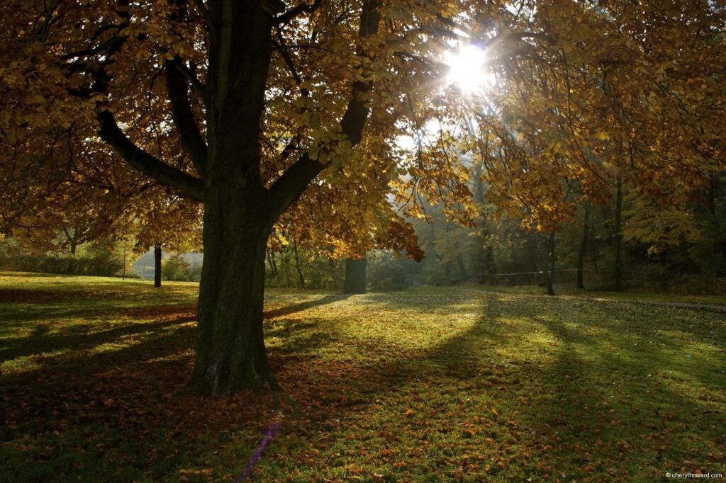 Romantic Places in Europe - Berlin Park In Autumn