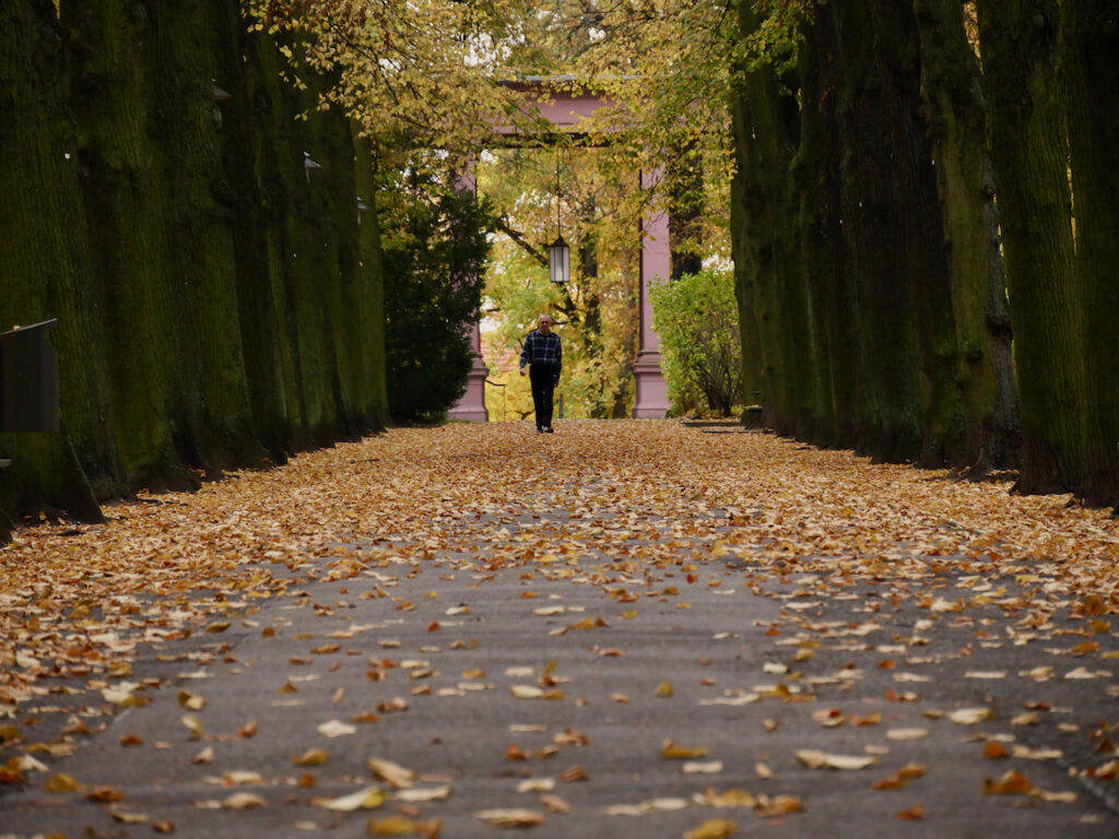 Schlosspark Biesdorf In Autumn - Man Walking