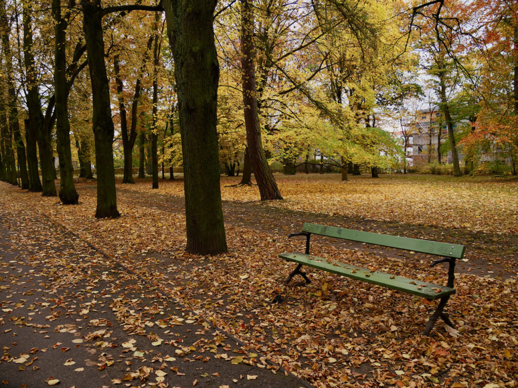 Schlosspark Biesdorf In Autumn - Park Bench