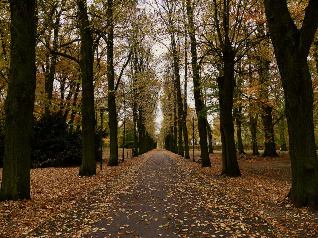 Schlosspark Biesdorf In Autumn - Walking Through The Park