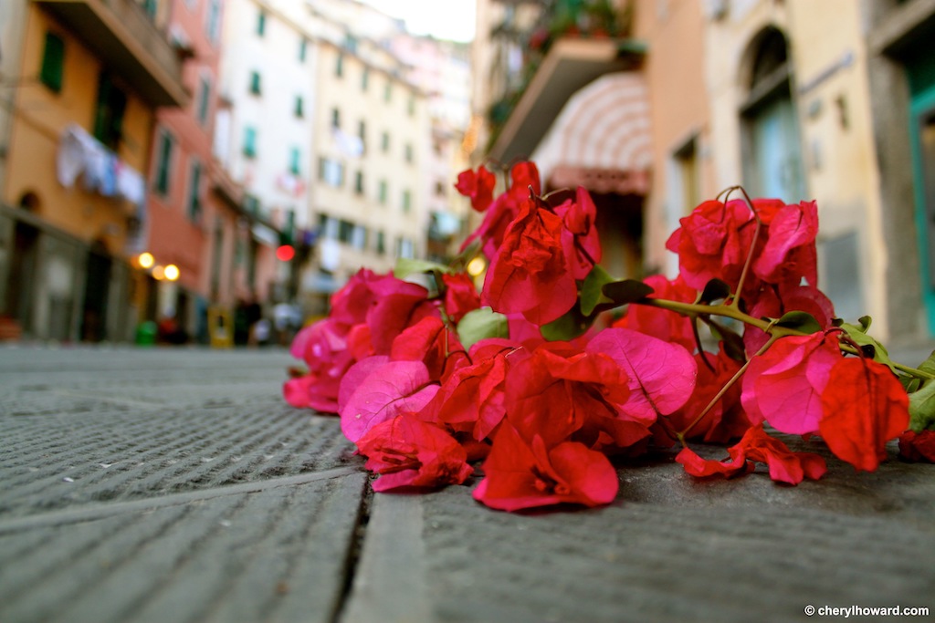The Day Of San Giovanni Battista In Riomaggiore, Italy Flower Petals