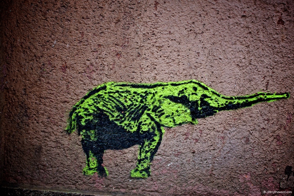 Gdansk Street Art -Animals