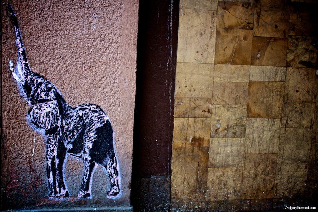 Gdansk Street Art - Elephant