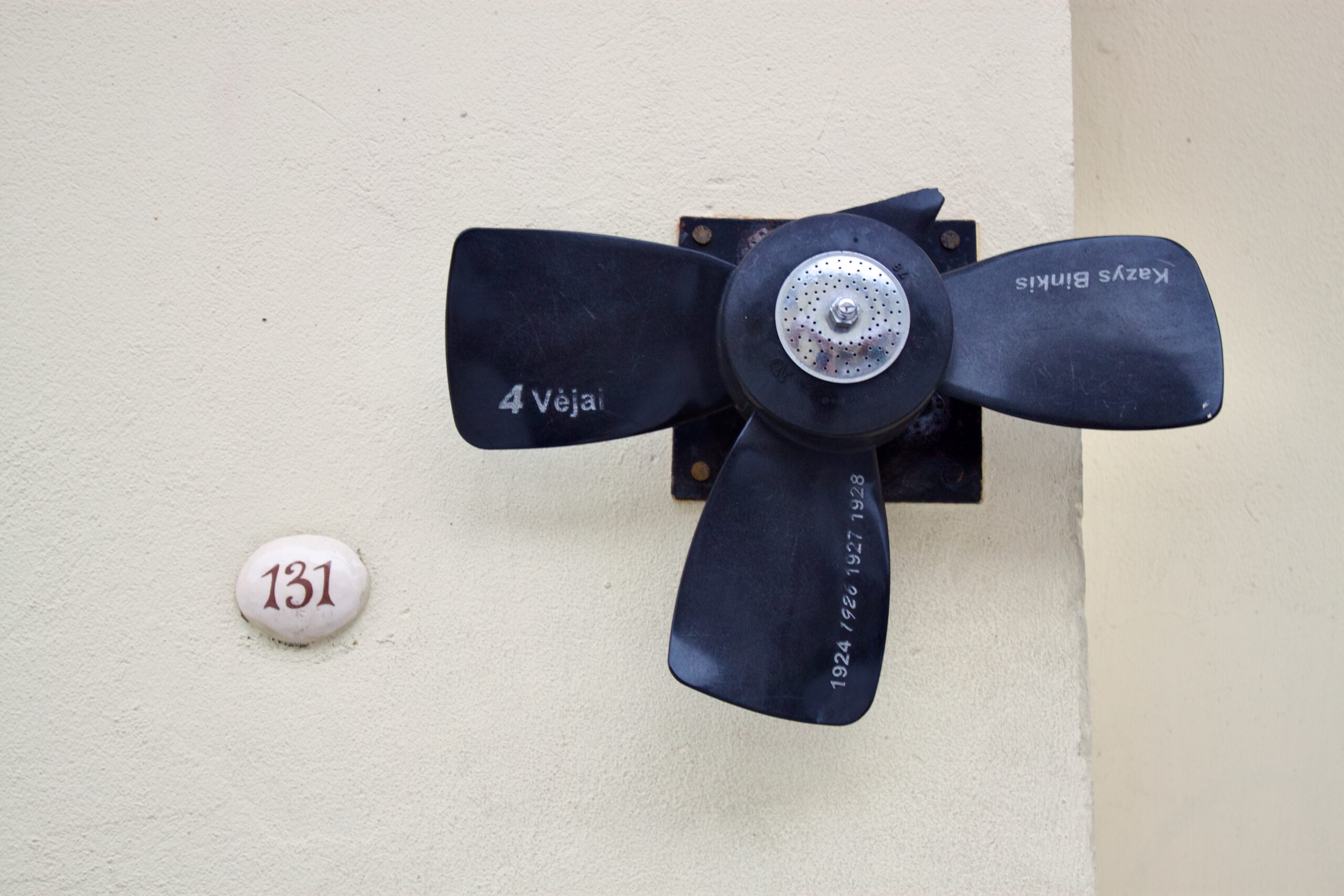 Literature Street In Vilnius - Fan