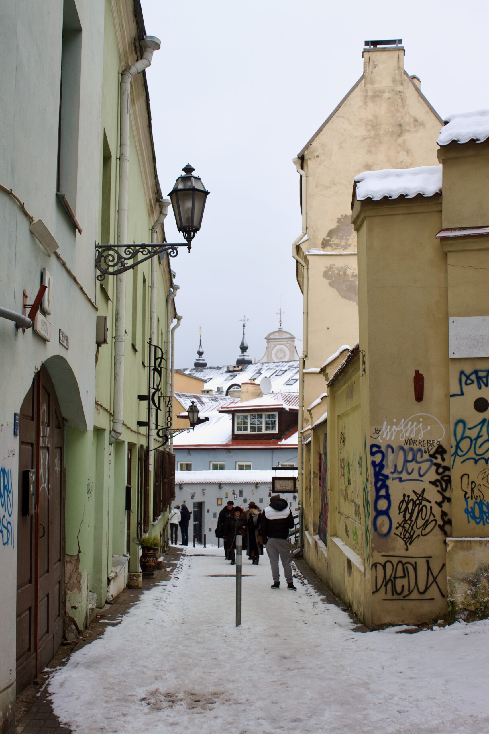 Literature Street Vilnius View